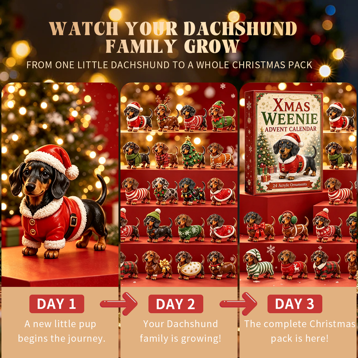 24 Days of Christmas Magic 🐶 Meet a New Dachshund Every Morning Until Christmas