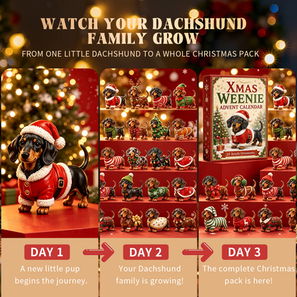 24 Days of Christmas Magic 🐶 Meet a New Dachshund Every Morning Until Christmas