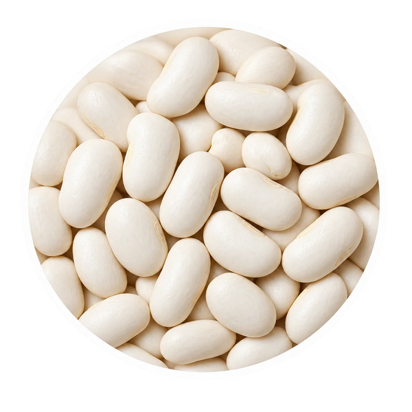 White Kidney Bean Extract