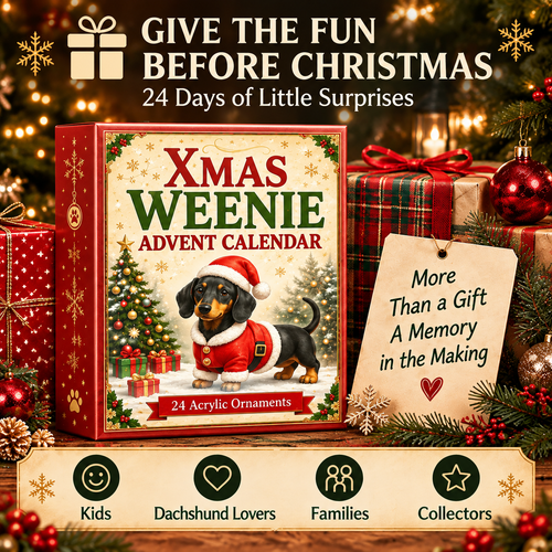 24 Days of Christmas Magic 🐶 Meet a New Dachshund Every Morning Until Christmas